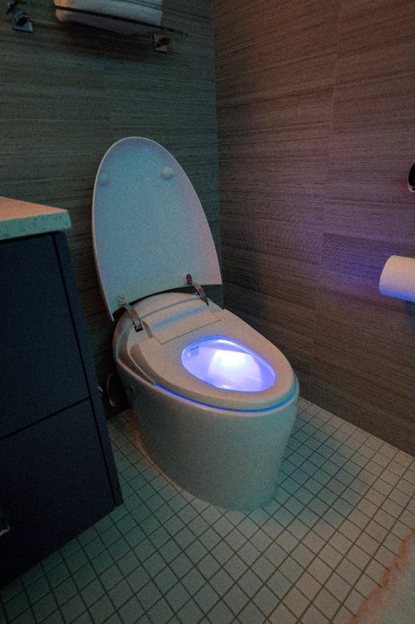 High End Bathroom Ideas Toilet Light