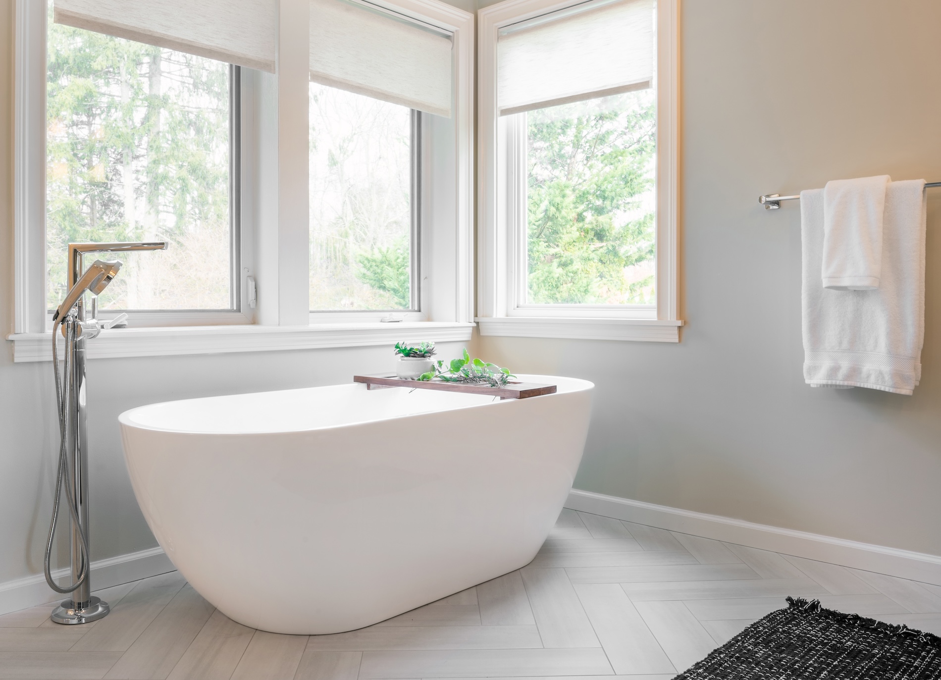 Bathtub With Bathtub Tray