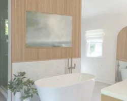 Mid-Century Organic